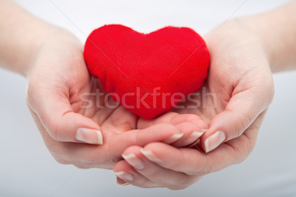 Woman holding red heart Stock photo © joseph73