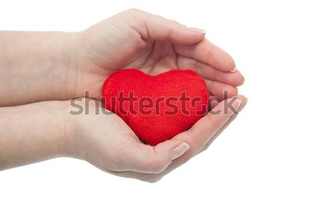 Protected heart Stock photo © joseph73