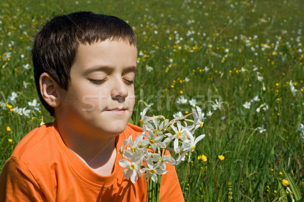 Boy smelling flowers Stock photo © joseph73