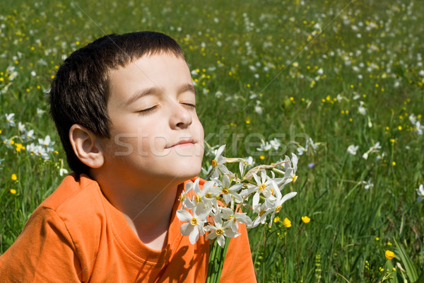 Boy smelling flowers Stock photo © joseph73