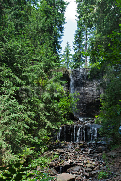 Niederschläge schönen Wasserfall Wald Natur Landschaft Stock foto © joseph73