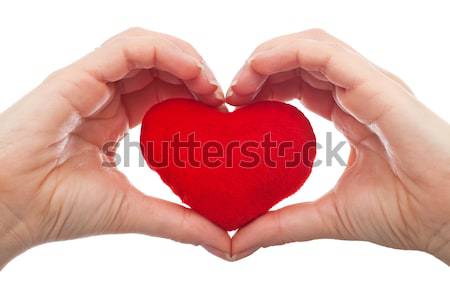 Protected heart Stock photo © joseph73