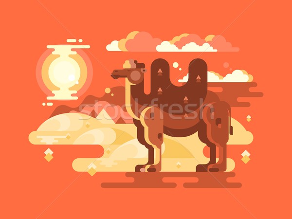 Kameel woestijn dier reizen natuur wild Stockfoto © jossdiim