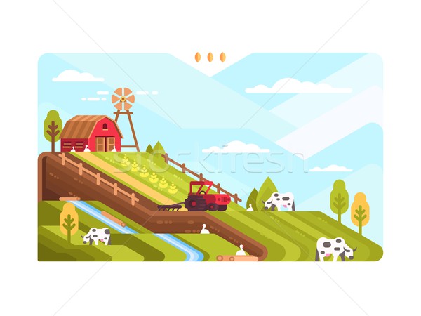 Stock photo: Agricultural farm with fields and livestock
