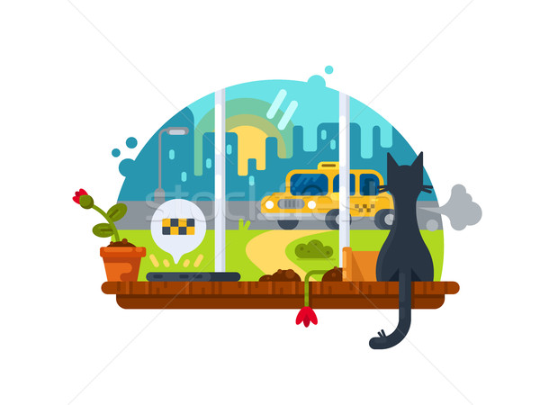 Imagine de stoc: Taxi · pisică · pervaz · maşină