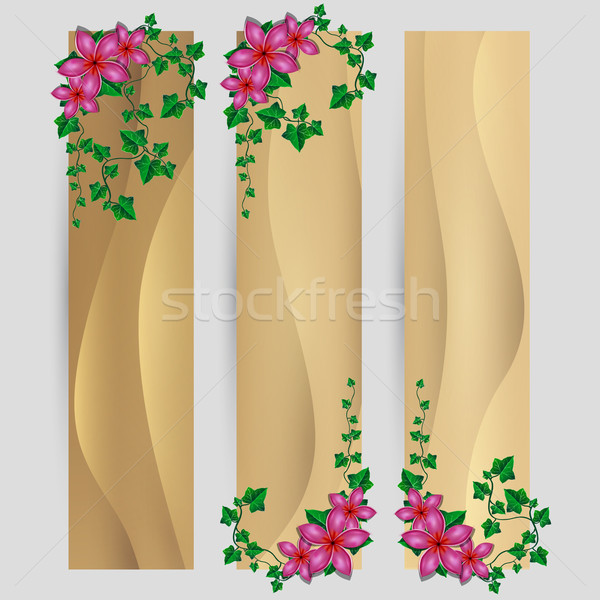 Ivy leaf with flowers decorated vector sand banner set Stock photo © Jugulator