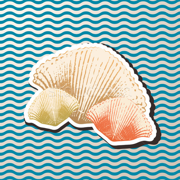 Vintage Style set of Sea Shell Illustration Stock photo © Jugulator