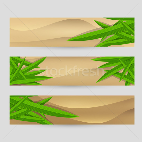 Stockfoto: Blad · ingericht · vector · zand · banner · ingesteld