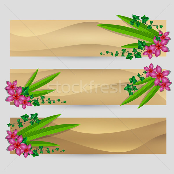 Ivy leaf with flowers decorated vector sand banner set Stock photo © Jugulator