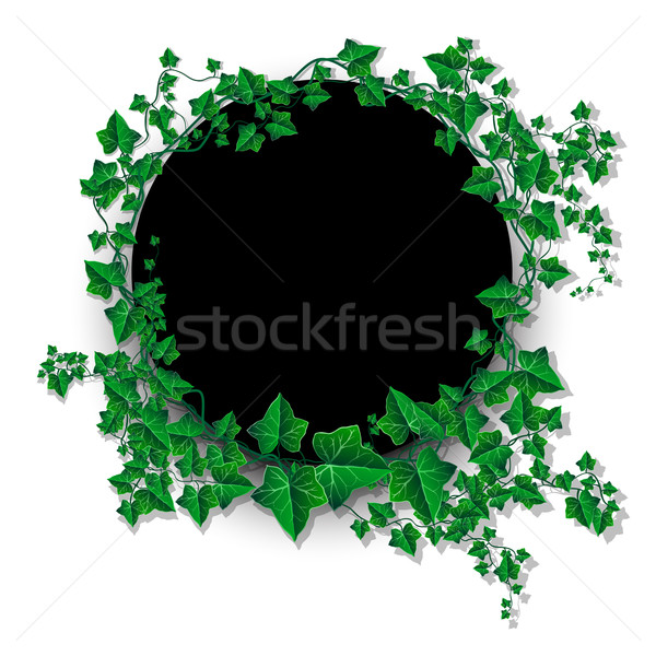 Ivy leaf decorated vector illustration Stock photo © Jugulator