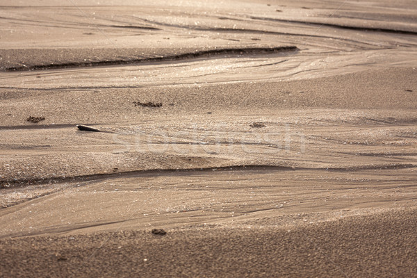 Natural sand patterns in beach Stock photo © Juhku