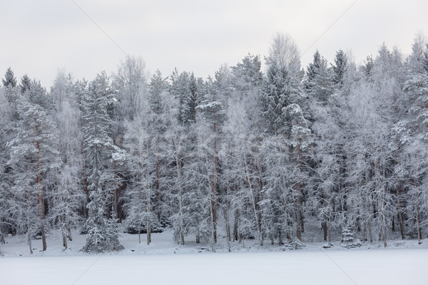 [[stock_photo]]: Hiver · lac · paysages · Finlande · coucher · du · soleil