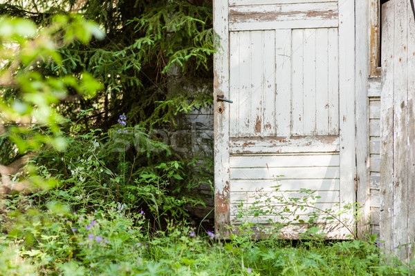 Open door of abandoned wooden house Stock photo © Juhku