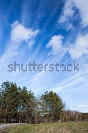 長い 雲 パノラマ 自然 風景 ストックフォト © Juhku