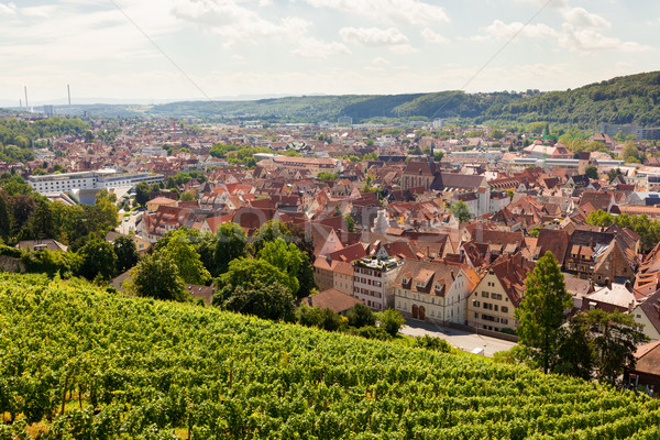 Stock photo: Beautiful geman city and wine fields