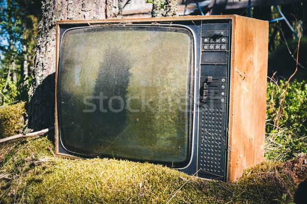 Stock foto: Alten · Analog · Fernsehen · Wald · aufgegeben · Natur