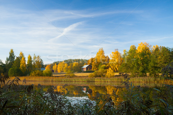 Spokojny jesienią scena Finlandia Świt niebo Zdjęcia stock © Juhku