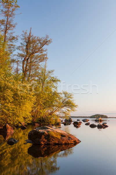 Calm lakeside at sunset Stock photo © Juhku