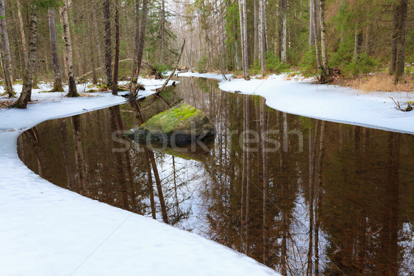 Gedeeltelijk bevroren bos rivier voorjaar Finland Stockfoto © Juhku