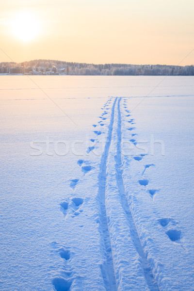 Ski Schnee See Winter Finnland Sonnenuntergang Stock foto © Juhku