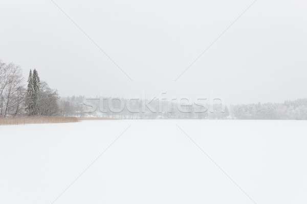 Viscol iarnă peisaj congelate lac Finlanda Imagine de stoc © Juhku