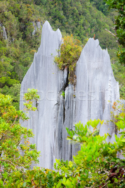 石灰岩 公園 フォーメーション ボルネオ島 マレーシア 森林 ストックフォト © Juhku