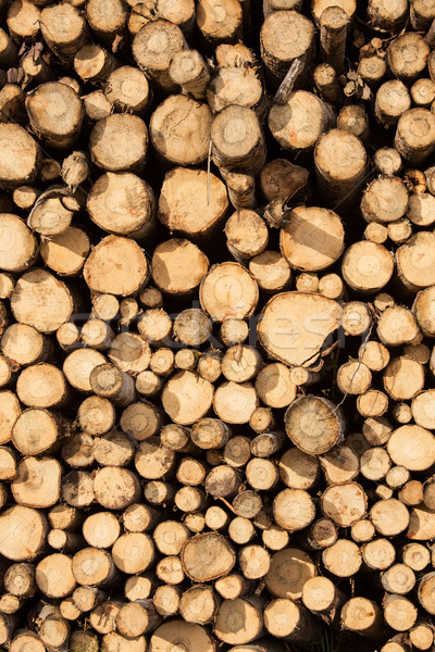 Pile of chopped wood Stock photo © Juhku