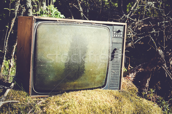 Vechi analog televiziune pădure abandonat natură Imagine de stoc © Juhku