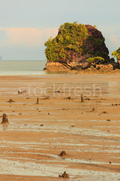Spiaggia tropicale basso marea sunrise parco borneo Foto d'archivio © Juhku