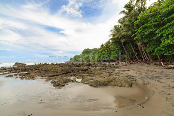 Praia árvores Costa Rica floresta fundo oceano Foto stock © Juhku