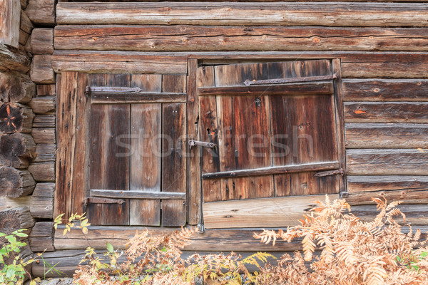 Alten Holz Scheune Tür geschlossen Haus Stock foto © Juhku