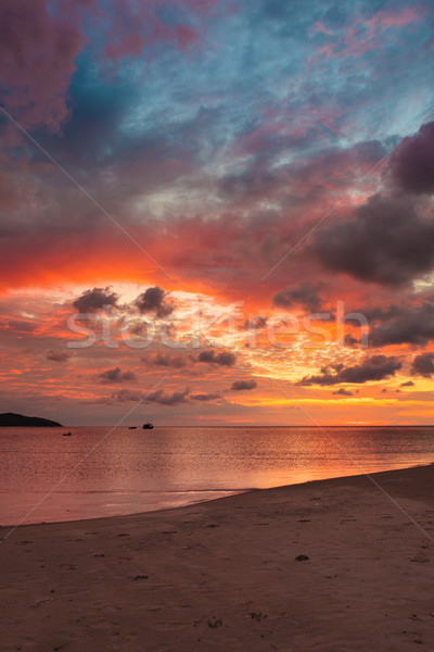 красивой яркий закат рай пляж Борнео Сток-фото © Juhku