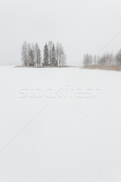 暴風雪 冬天 景觀 凍結 湖 芬蘭 商業照片 © Juhku