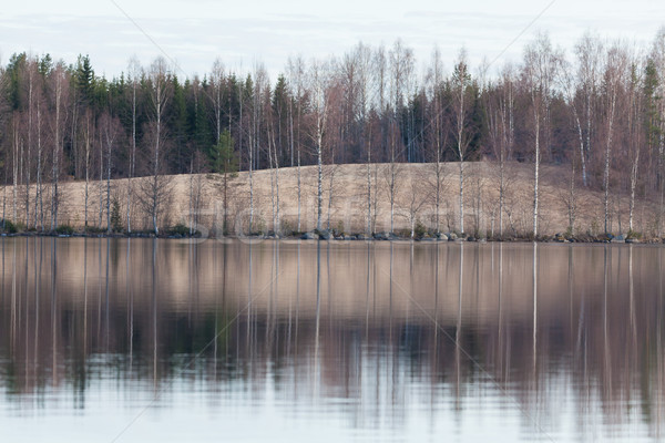 Stock photo: Tree reflection on lake