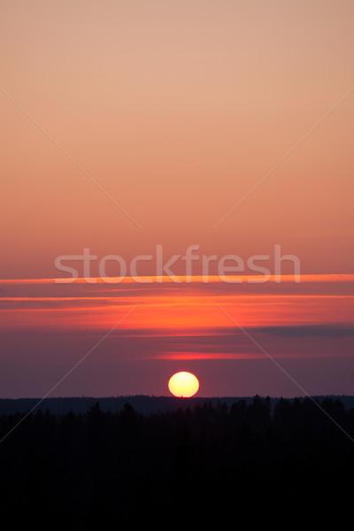 Sun setting over forest Stock photo © Juhku
