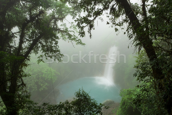 Rio waterval mistig dag park Costa Rica Stockfoto © Juhku