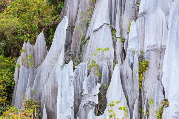 Calcaire parc formation bornéo Malaisie forêt [[stock_photo]] © Juhku