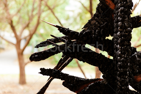Burnt broken wood wall Stock photo © Juhku