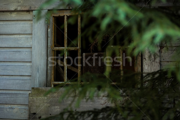 Abandoned cabin in the woods window Stock photo © Juhku