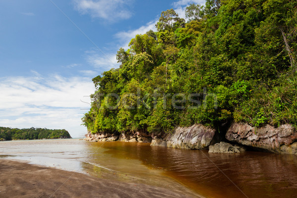 Denso selva blue sky colina água floresta Foto stock © Juhku