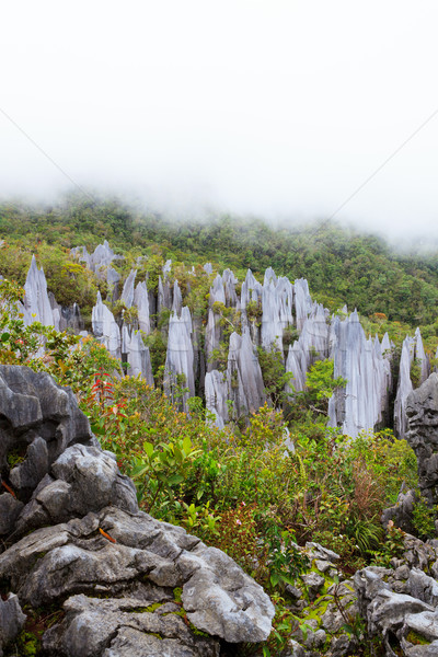 石灰石 公園 編隊 婆羅洲 馬來西亞 雲 商業照片 © Juhku