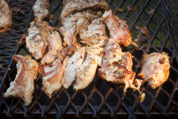 Carne de porc carne gratar deschide focul în aer liber cină Imagine de stoc © Juhku