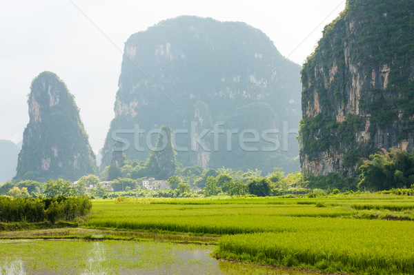 Karst mountains in yangshuo china  Stock photo © Juhku