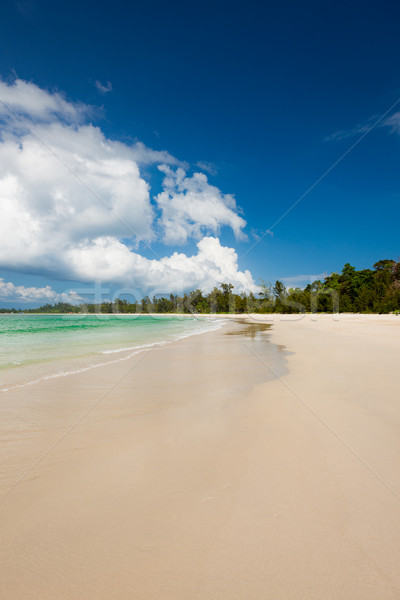 Longo areia praia ponta água natureza Foto stock © Juhku