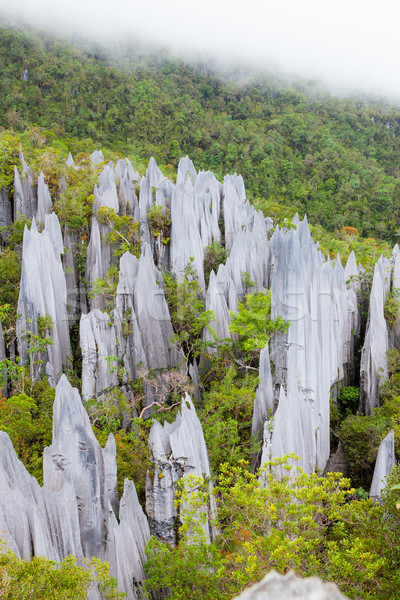 Calcare parco formazione borneo Malaysia alberi Foto d'archivio © Juhku