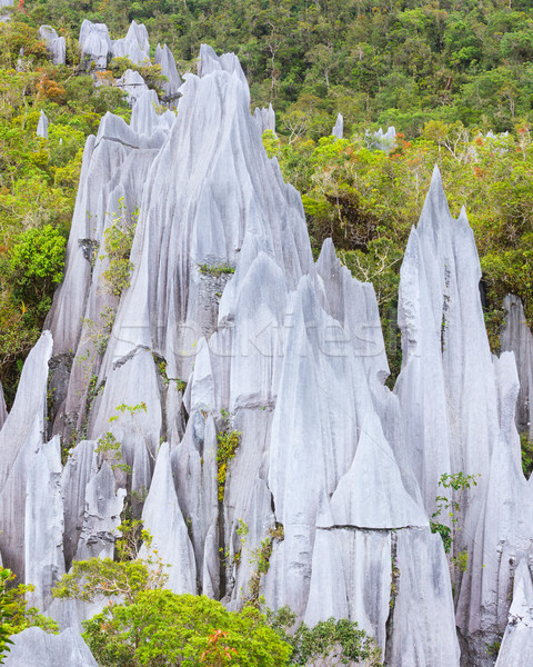 Calcare parco formazione borneo Malaysia alberi Foto d'archivio © Juhku