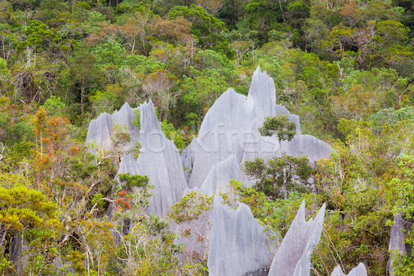 Calcaire parc formation bornéo Malaisie forêt [[stock_photo]] © Juhku