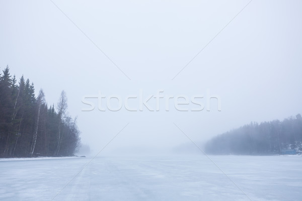тумана заморожены озеро пейзаж лес льда Сток-фото © Juhku