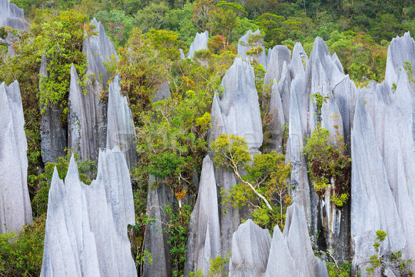 Wapień parku formacja borneo Malezja górskich Zdjęcia stock © Juhku