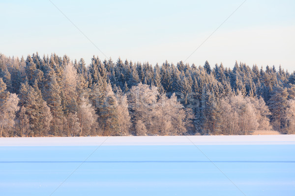 Foto stock: Invierno · lago · paisaje · Finlandia · puesta · de · sol